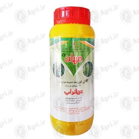 علف کش گلای فوزیت چین