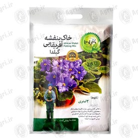 خاک بنفشه آفریقایی گیلدا مدل GV2L حجم 2 لیتر