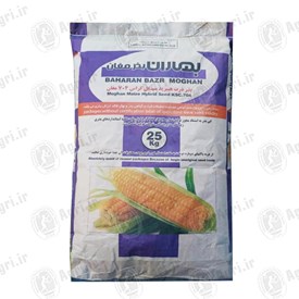 ذرت 704 مغان بهاران بذر 25 کیلوگرم
